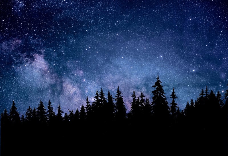 Constellation Decor